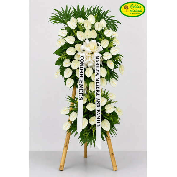 Linda Anthuriums 72535