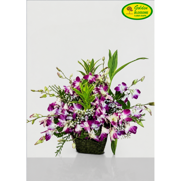 Purple Orchids