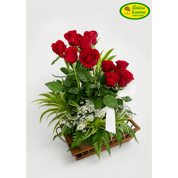 Elegant Blooms