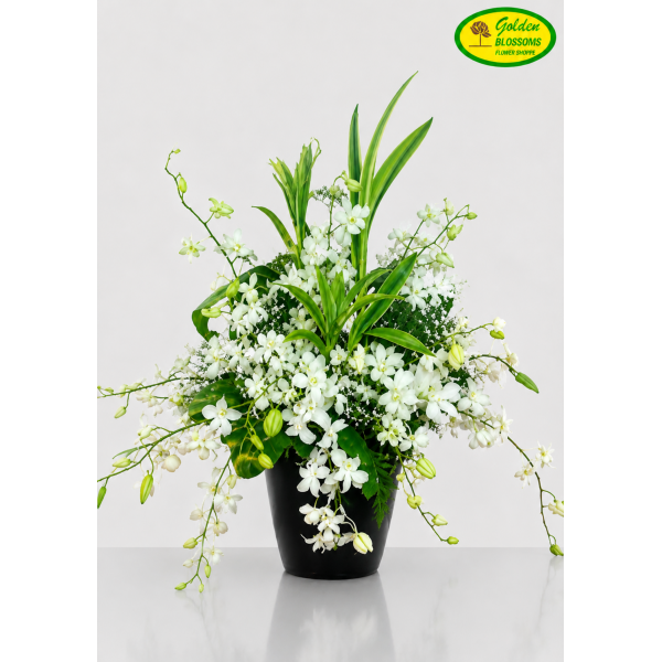 White Orchids 72170