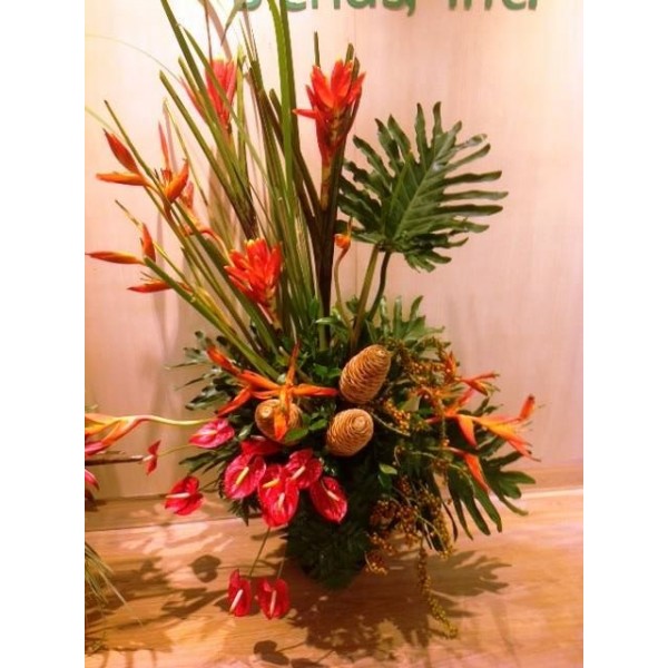 Tropical 201