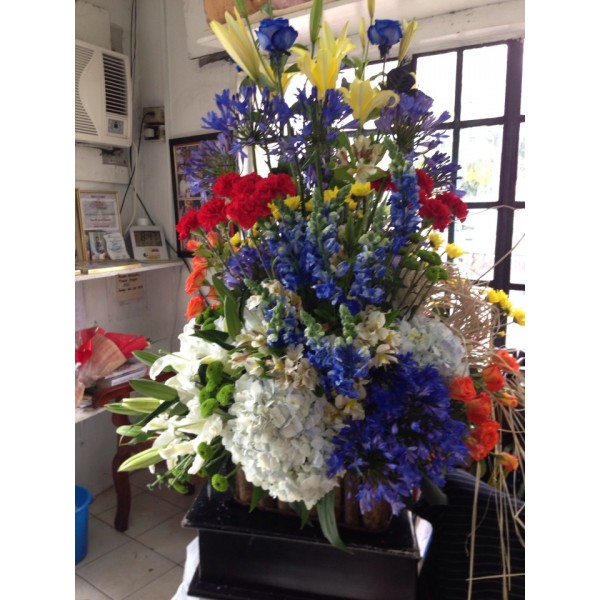 Mont Blue