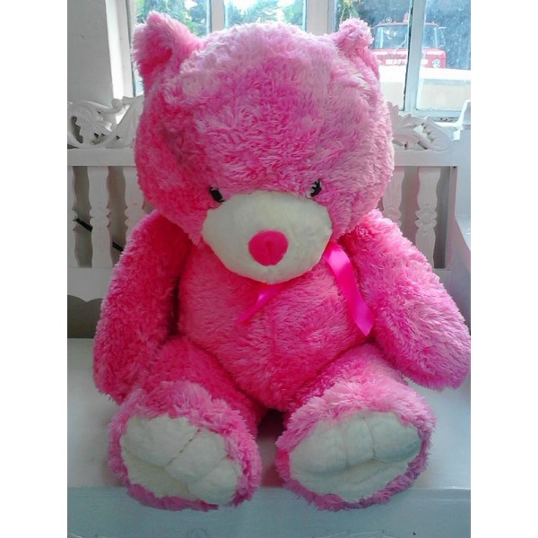 Bear 110
