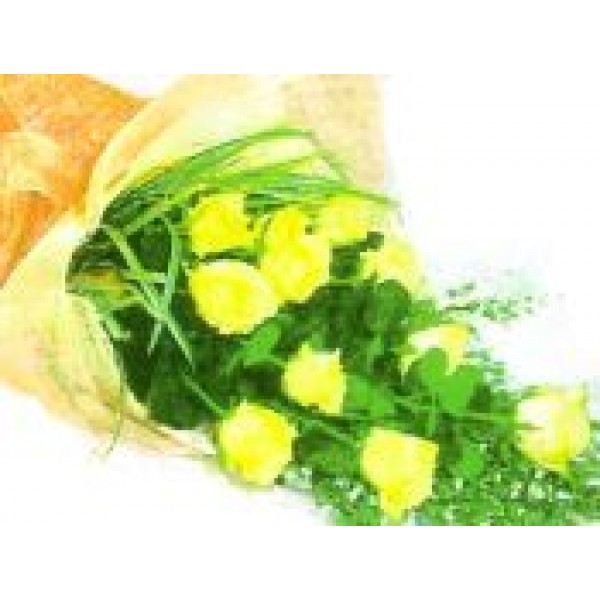 Classic Yellow 72039