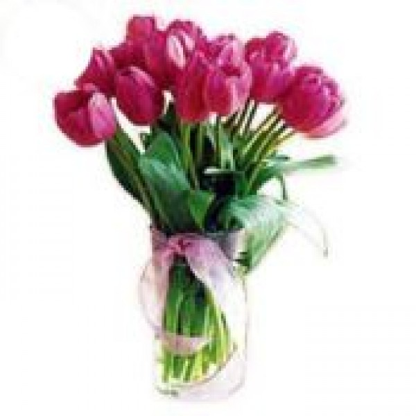 Tulips in a Vase 72076