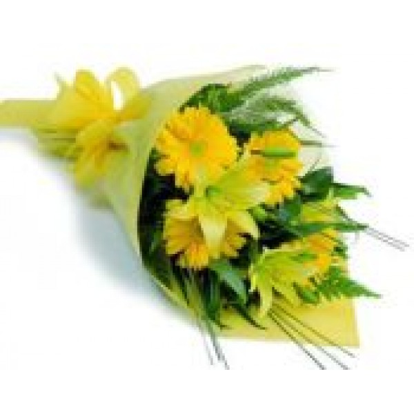 Yellow Elegance 72099