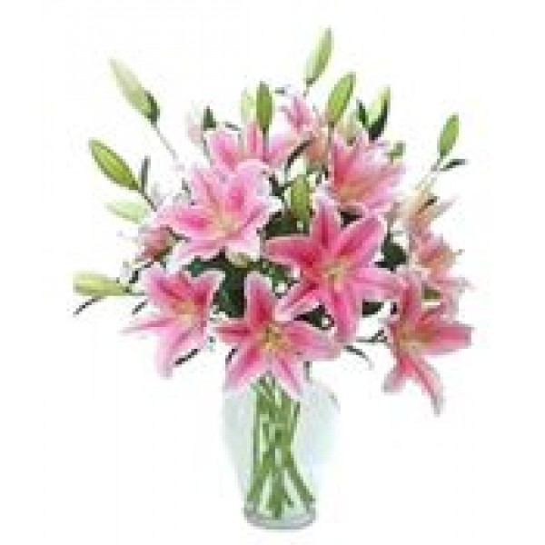 Oriental Bloom 72104