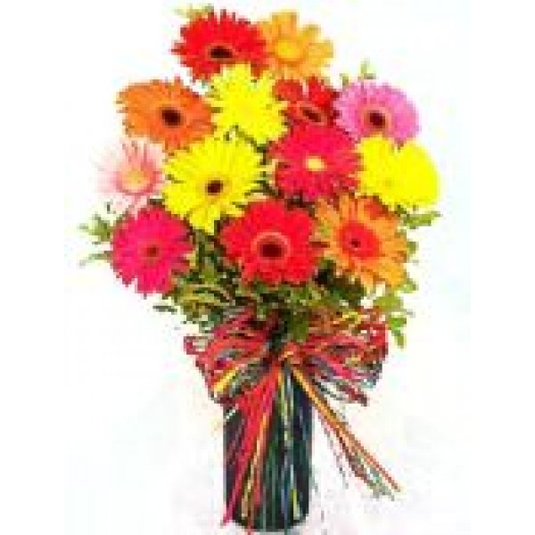 Gerberas Collection 72105