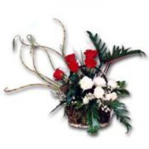 Elegant Blossoms 72142