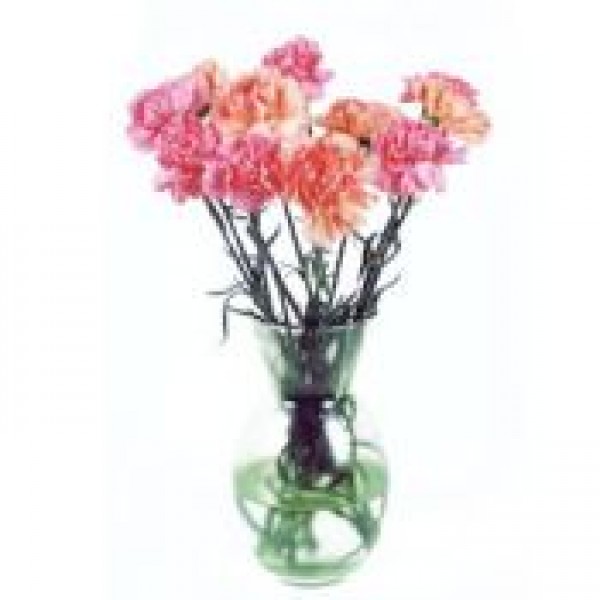 Pink & Pales 72169