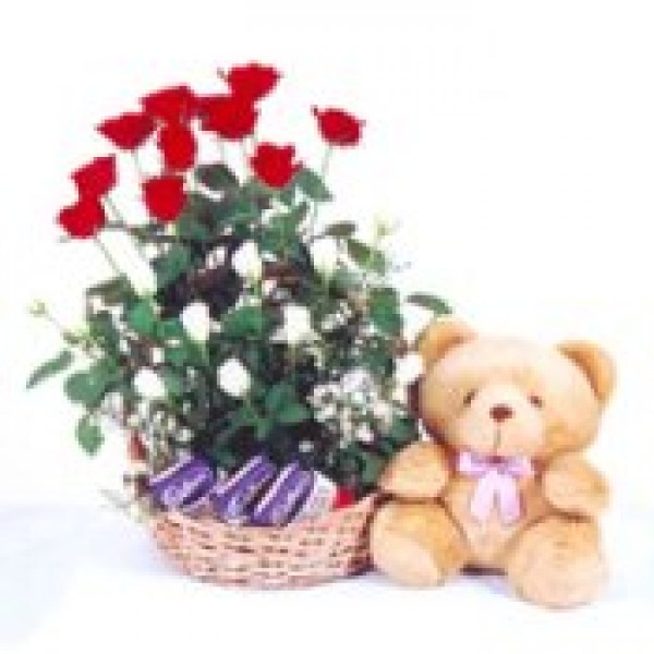 Delightful Touch 72451
