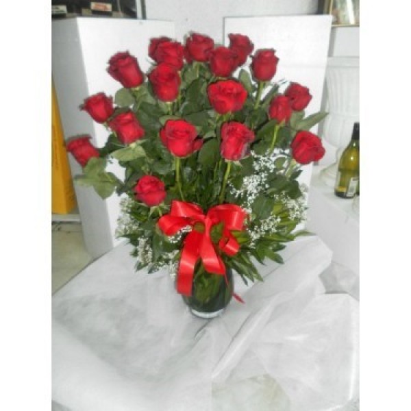 Two Dozen Ecuador Roses