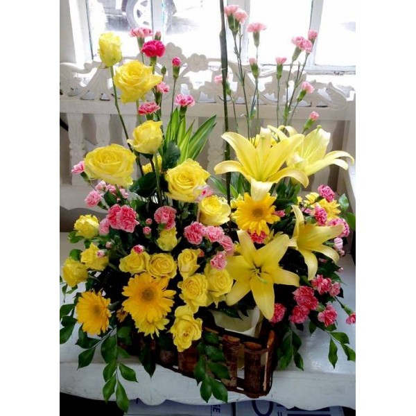 Yellow Burst