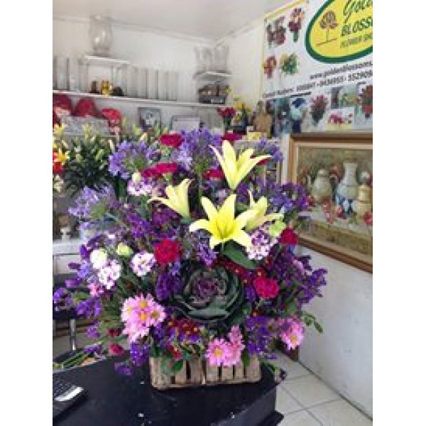 Purple  Yellow Burst