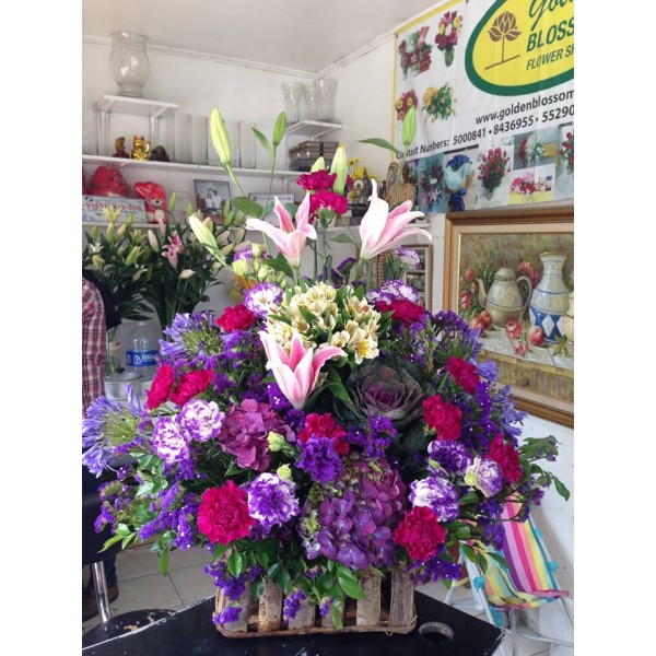 Purple Pink Burst 