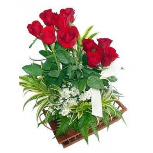 Elegant Blooms