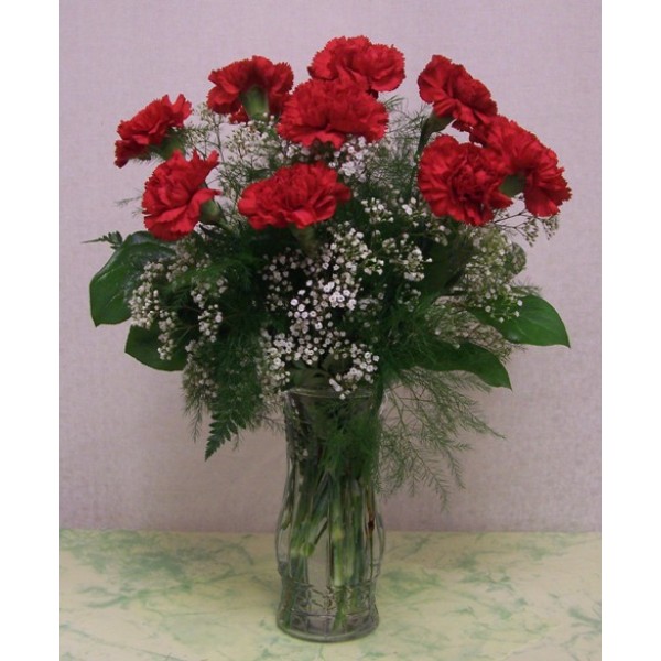 Red Carnation